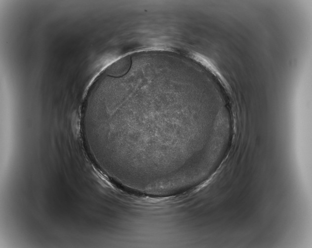 X0000087621260200704271352