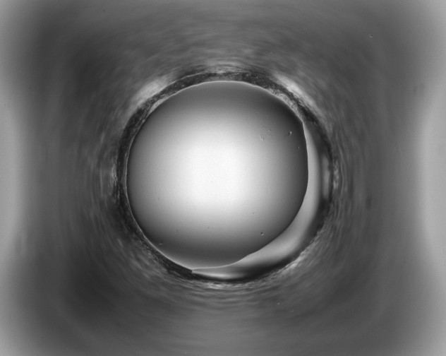 X0000087621261200704271352