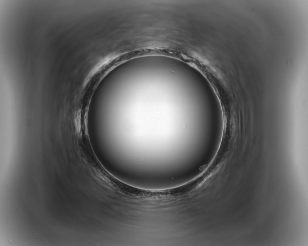 X0000087621262200704271352