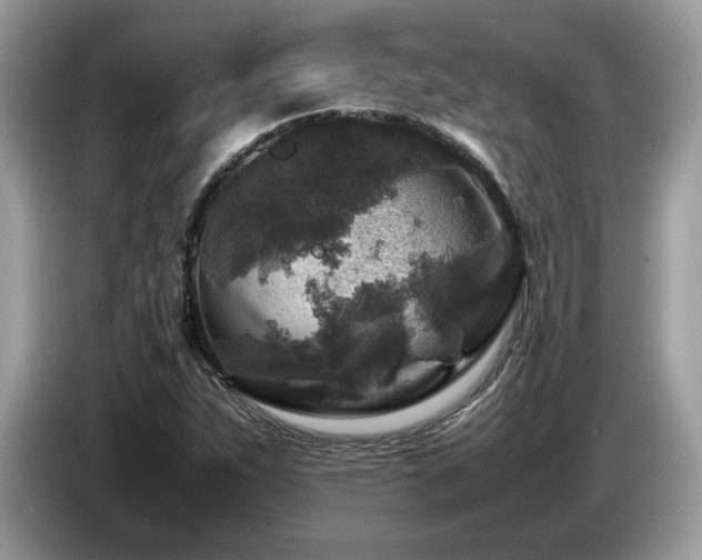 X0000087621263200704271352