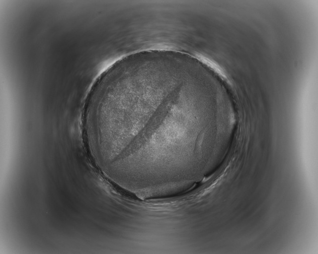 X0000087621264200704271352
