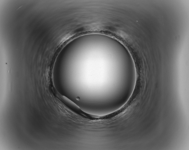 X0000087621265200704271352