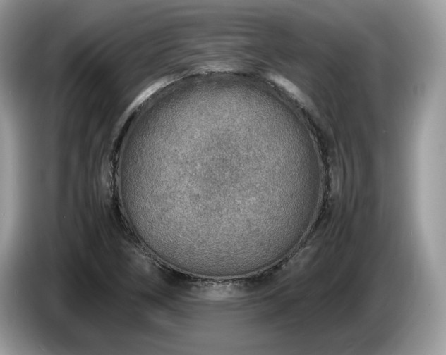 X0000087621266200704271352