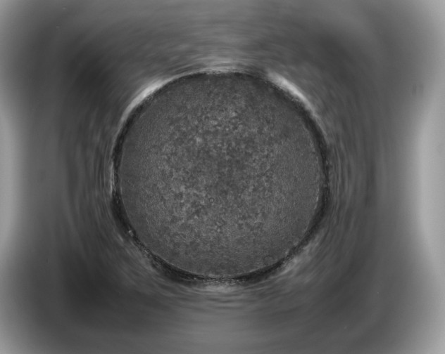 X0000087621267200704271352