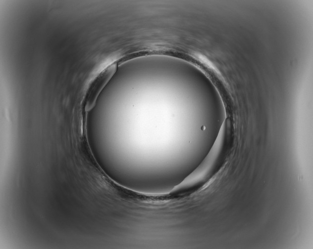 X0000087621269200704271352