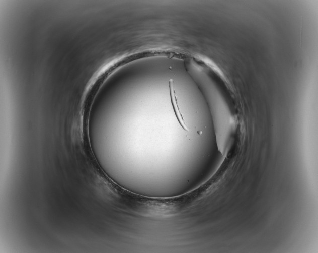 X0000087621270200704271352