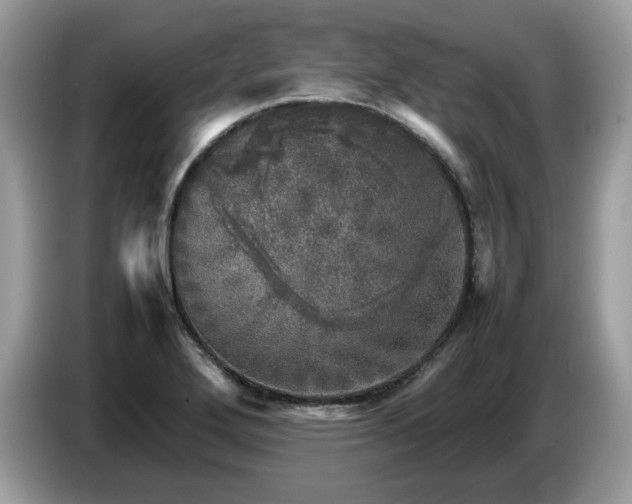 X0000087621272200704271352