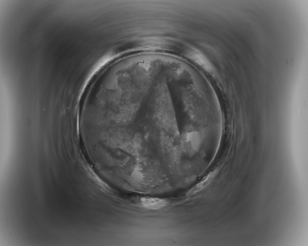 X0000087621275200704271352
