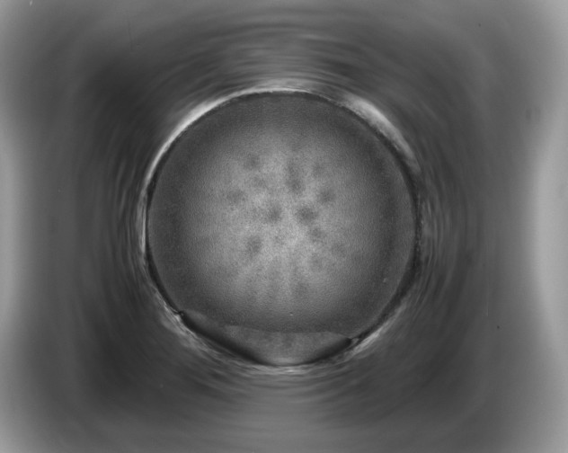 X0000087621276200704271352
