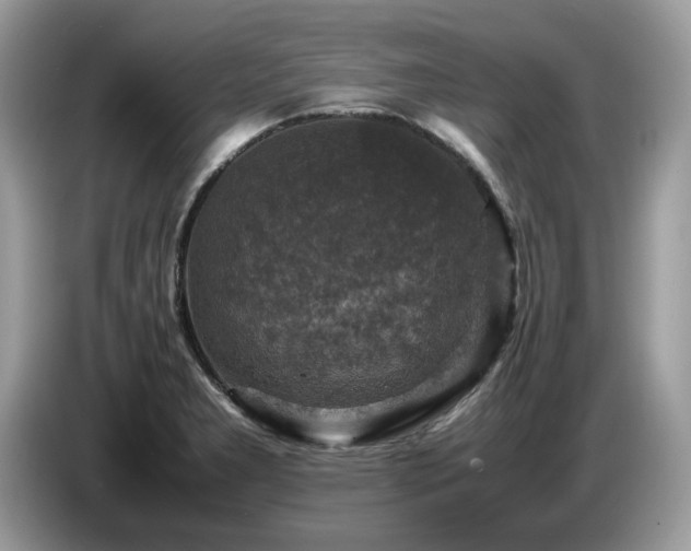 X0000087621277200704271352
