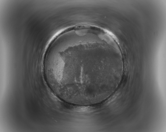 X0000087621279200704271352