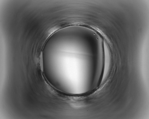 X0000087621281200704271352