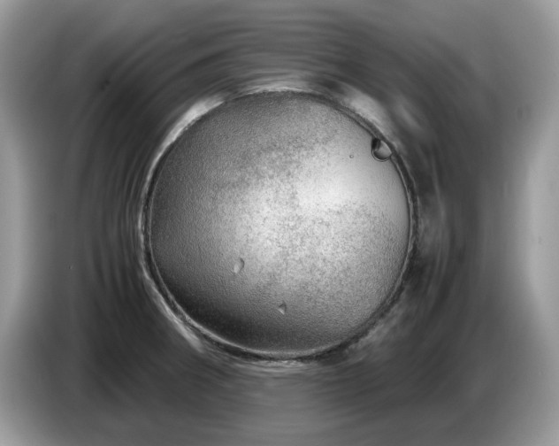 X0000087621282200704271352