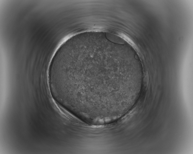 X0000087621283200704271352