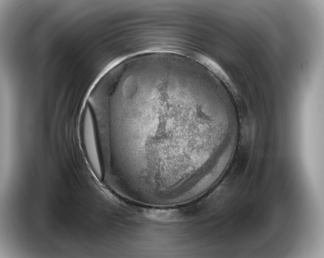 X0000087621284200704271352