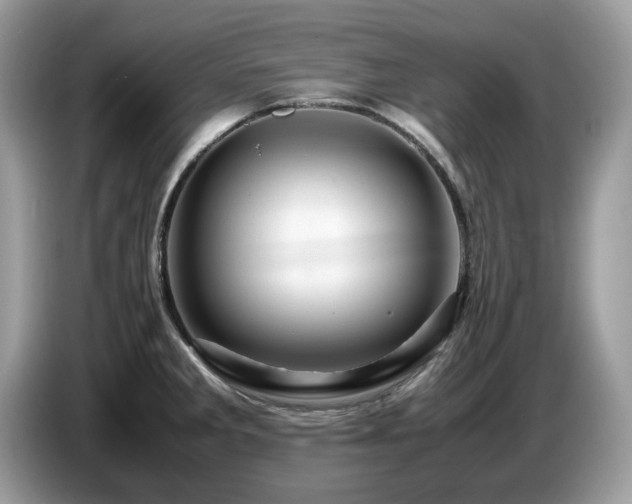 X0000087621285200704271352