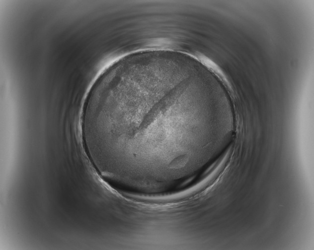 X0000087621288200704271352