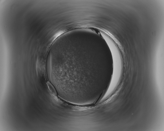 X0000087621289200704271352