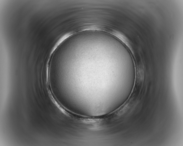 X0000087621290200704271352