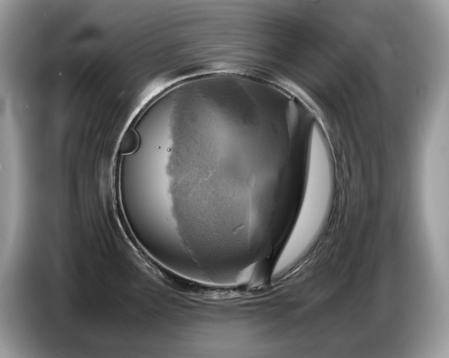 X0000087621291200704271352