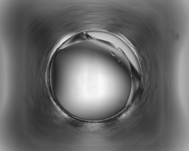 X0000087621293200704271352