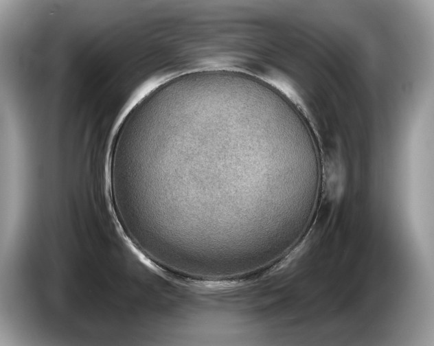 X0000087621294200704271352