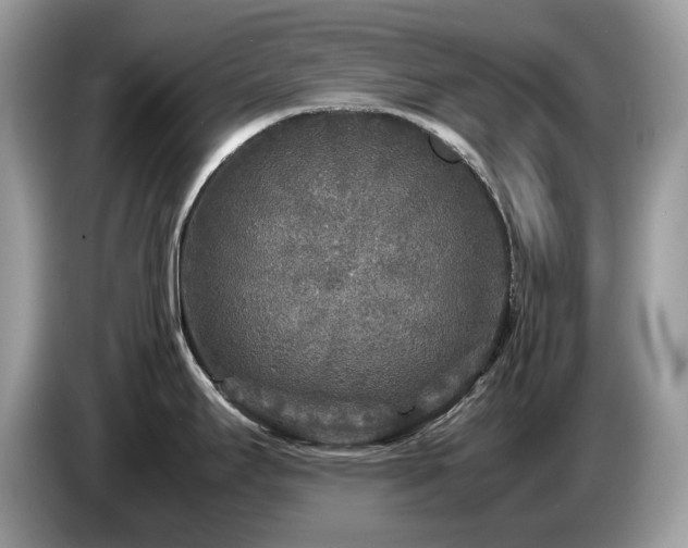 X0000087621295200704271352