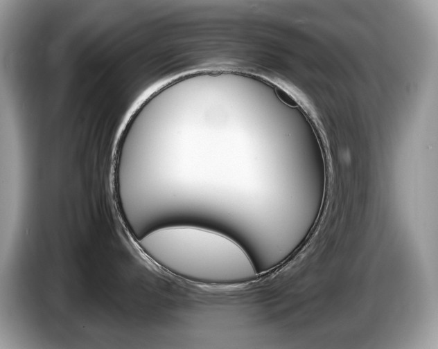 X0000087621296200704271352