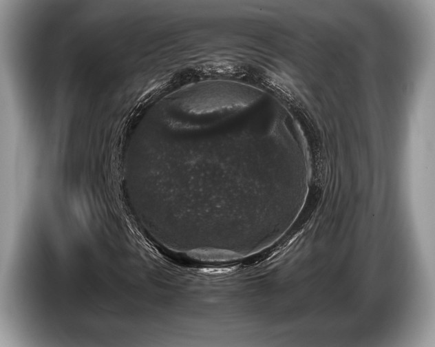 X0000087621297200704271351
