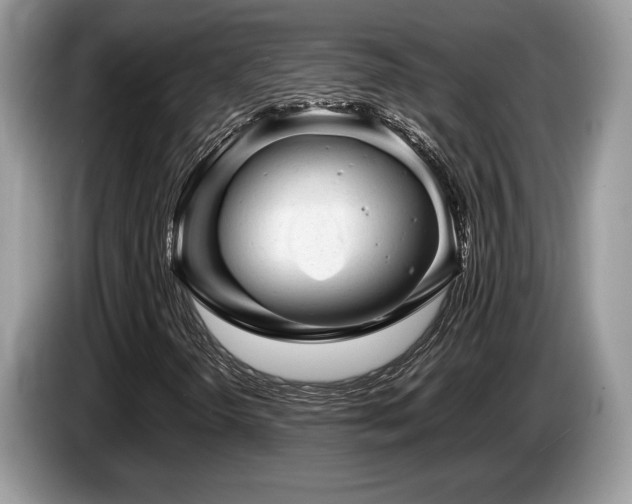 X0000087621298200704271351