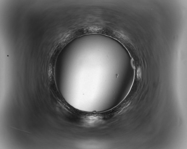 X0000087621299200704271351