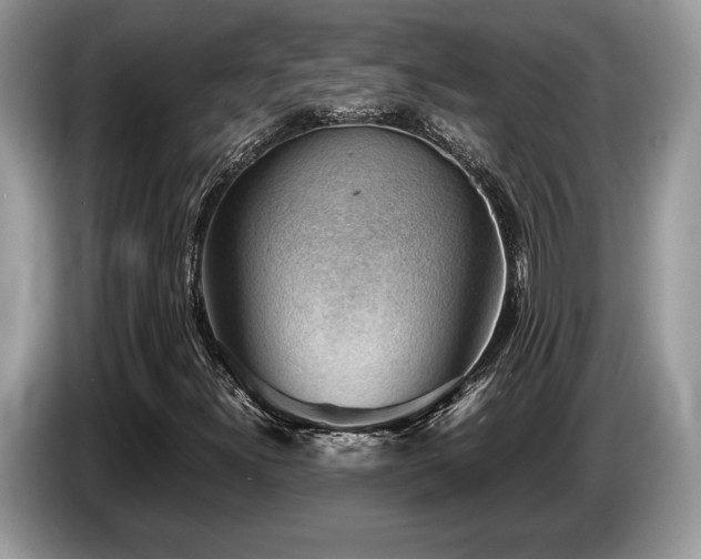 X0000087621300200704271351