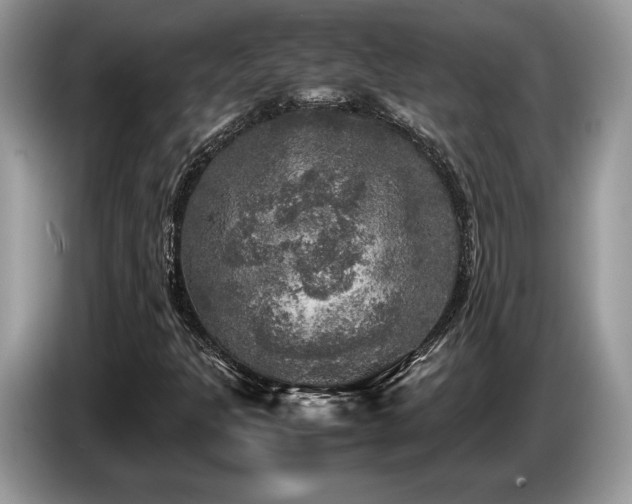 X0000087621301200704271351