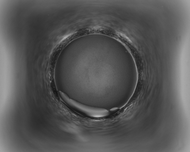 X0000087621303200704271351