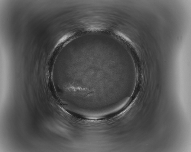 X0000087621306200704271351