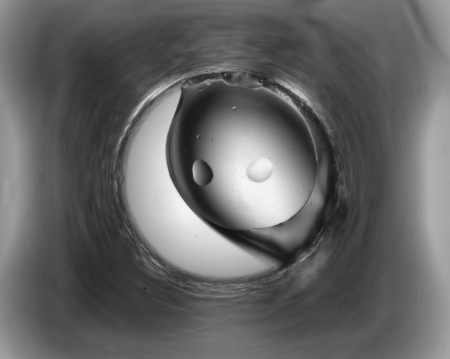 X0000087621308200704271351