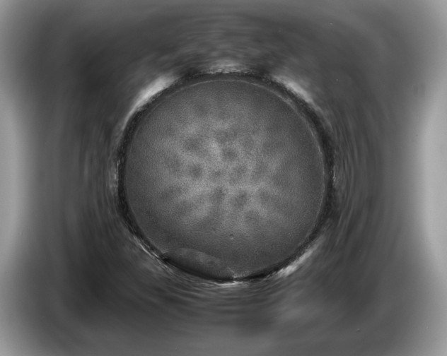 X0000087621309200704271351