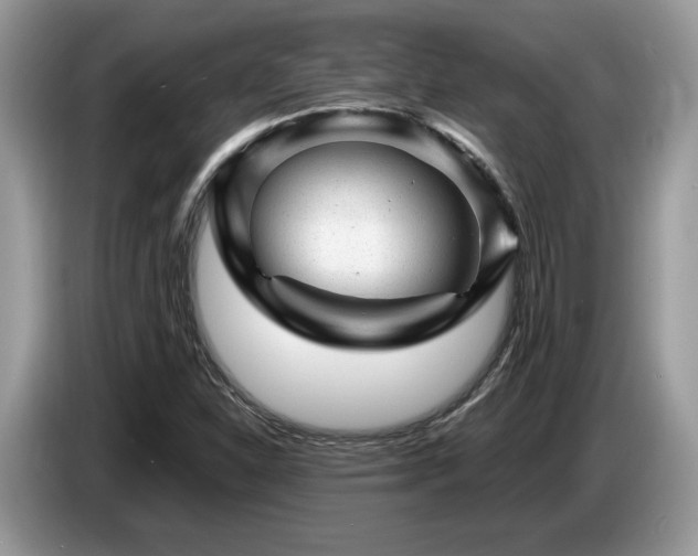 X0000087621310200704271351