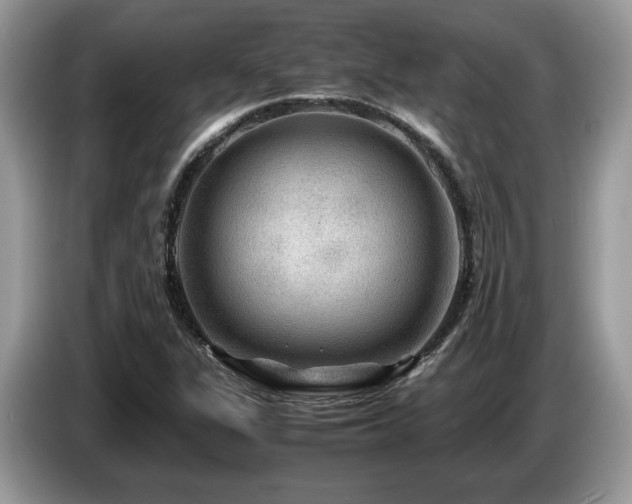 X0000087621311200704271351