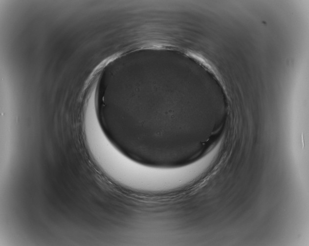 X0000087621314200704271351