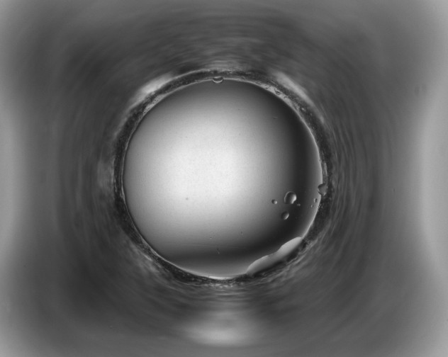 X0000087621315200704271351
