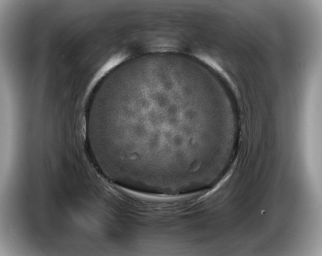 X0000087621317200704271351