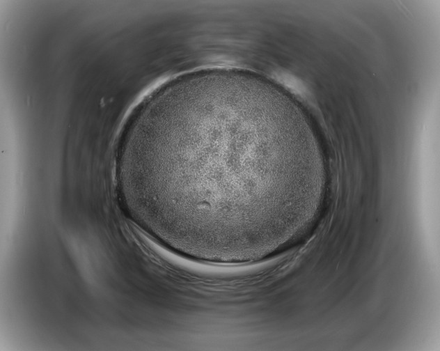 X0000087621318200704271351
