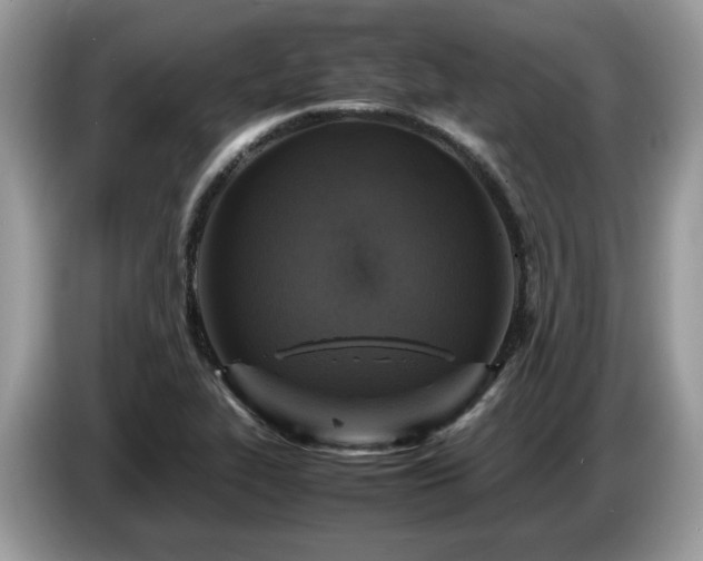 X0000087621319200704271351