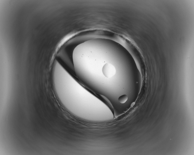 X0000087621320200704271351