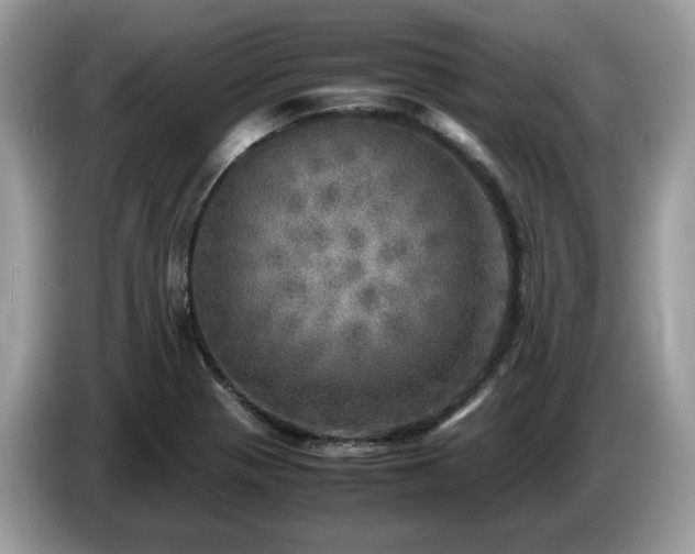 X0000087621321200704271351