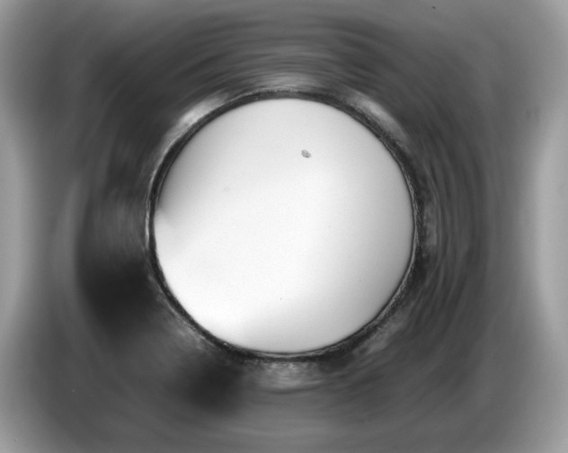 X0000087621322200704271351