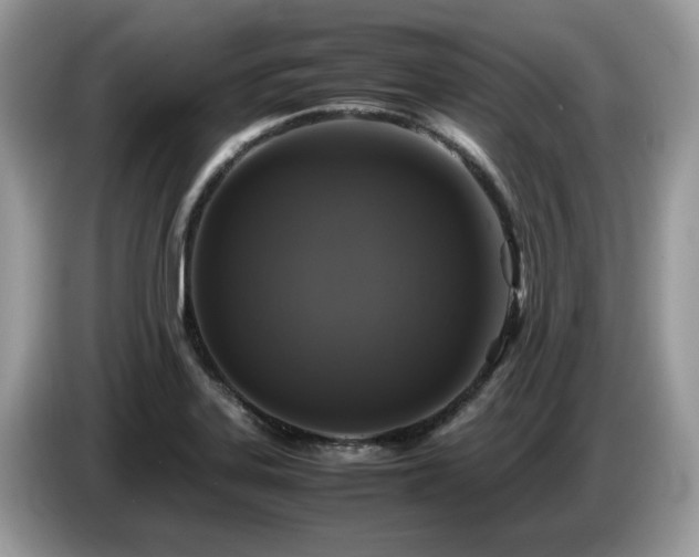 X0000087621323200704271351