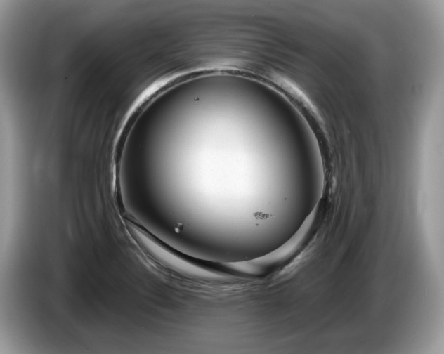 X0000087621324200704271351