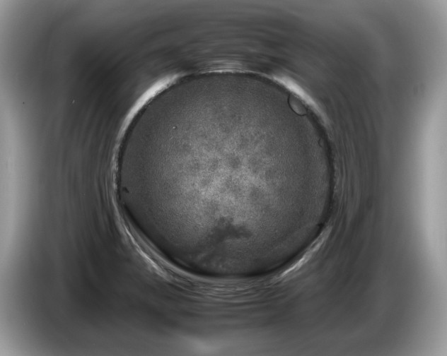 X0000087621325200704271351